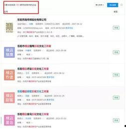 明星网红要交什么税收,揭秘网红经济背后的税务风云