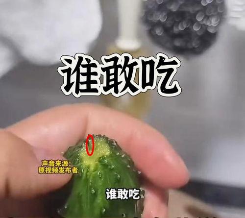 今日吃瓜爆料正能量语录图片,今日吃瓜语录暖心分享