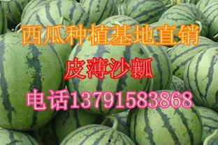 今日盐城瓜价,今日瓜价行情一览