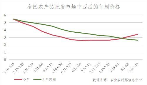 麒麟瓜今日最新价格走势,今日最新走势解析