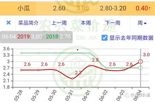 今日小瓜走势分析最新图,洞察市场动态，揭秘最新行情趋势