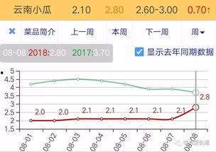 今日小瓜走势分析最新图,洞察市场动态，揭秘最新行情趋势