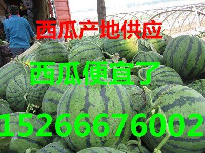 邹城今日瓜价行情,新鲜瓜果价格走低，市民购买更实惠