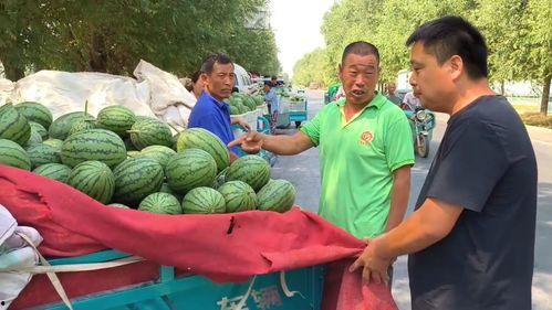 邹城今日瓜价行情,新鲜瓜果价格走低，市民购买更实惠