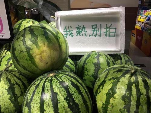 今日份说瓜,娱乐圈最新热点事件大盘点