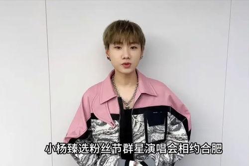 小杨哥和明星网红,共筑跨界合作新篇章