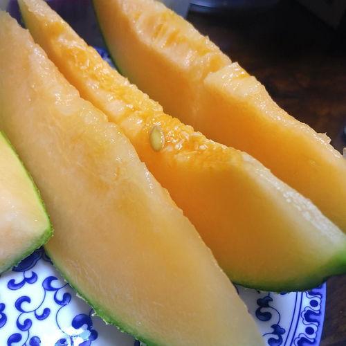 今日蜜瓜,今日蜜瓜的甜蜜诱惑