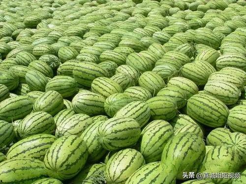 今日吃瓜每日更新必吃大瓜