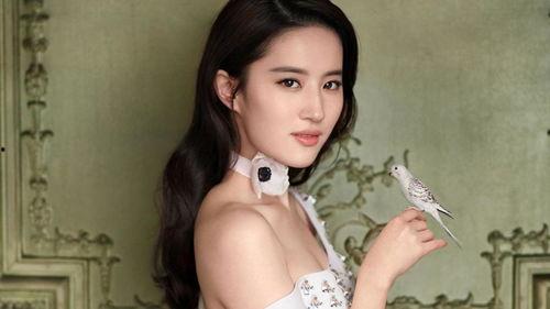 明星网红绰号大全集女生,揭秘网络红人的别样魅力