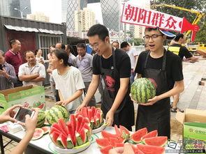 北京朝阳今日吃瓜事件,揭秘网络热议背后的真相