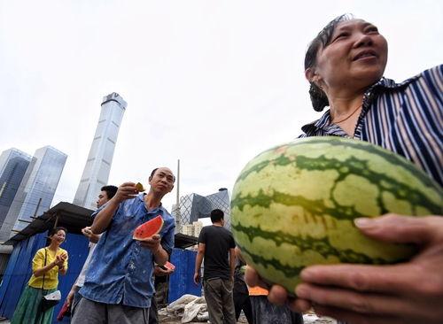北京朝阳今日吃瓜事件,揭秘网络热议背后的真相