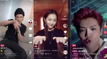 明星网红借钱视频大全集,揭秘明星借款背后的真相与争议