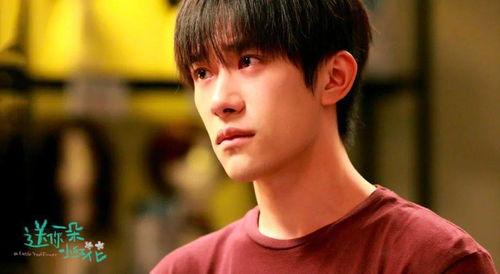 东北男明星网红转型图片,开启演艺生涯新篇章