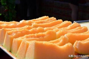 今日沙洲蜜瓜价格,价格走俏，甜蜜上市！