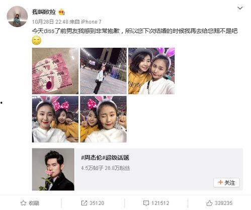 小明星网红来自哪里的人,崛起于XX之地