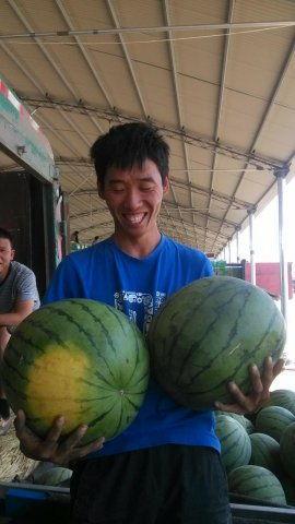 青州今日瓜价