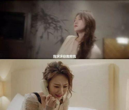 揭露明星网红店的真相,明星效应下的食品安全疑云