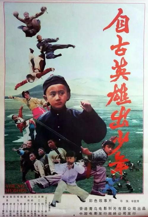 自古英雄出少年电视剧,青春热血铸就传奇
