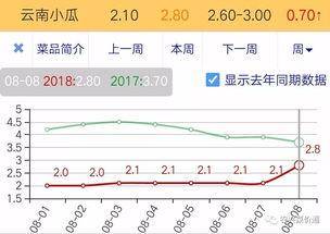 今日小瓜走势预测分析图,洞察市场脉动，揭秘未来趋势