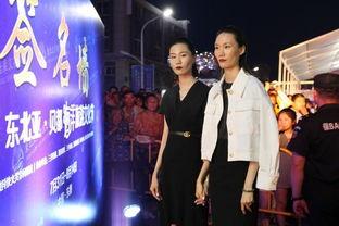 国外看中国明星网红视频,魅力与影响力揭秘