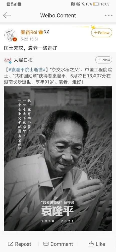 袁隆平与明星网红的故事,农业科技与网络文化的交融之旅