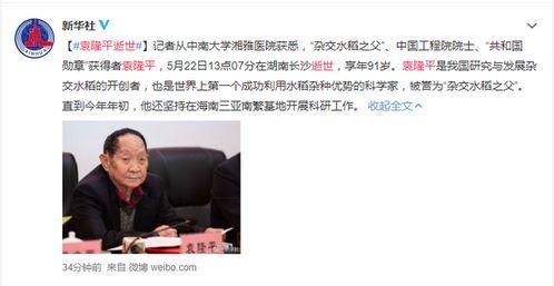 袁隆平与明星网红的故事,农业科技与网络文化的交融之旅