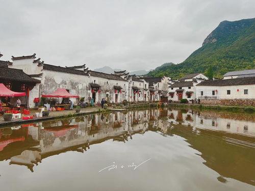 浙江明星网红聚集地,明星网红聚集地的魅力之旅