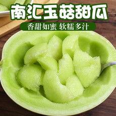 海南玉菇哈密瓜今日行情,甜蜜价格波动，市场供需动态解析