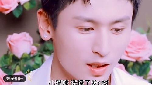 明星网红碰瓷视频合集,真相与争议并存