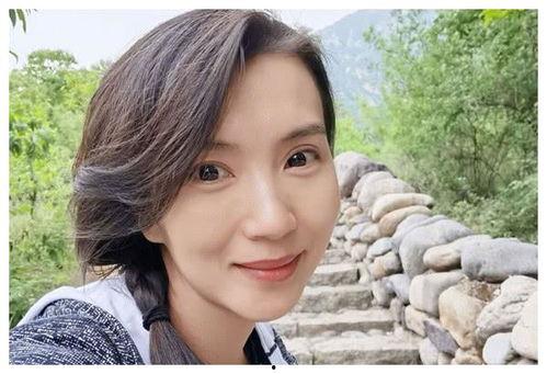 明星网红相继消失的原因,明星网红消失之谜背后的真相