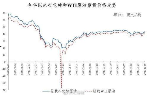 今日湛江毛瓜价格走势图,今日走势图解读”