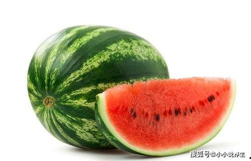 通海今日小瓜价,市场动态一览无余