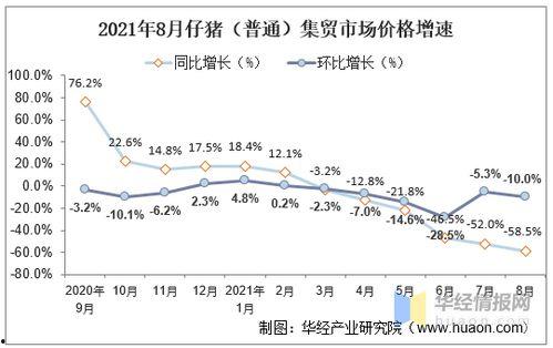 吊瓜今日行情走势图,今日走势解析
