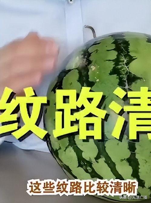 今日头条麒麟瓜批发价,市场动态一览”