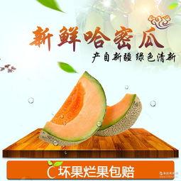 今日甜瓜哈密瓜价格多少,甜瓜市场行情一览