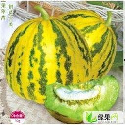 今日甜瓜哈密瓜价格多少,甜瓜市场行情一览