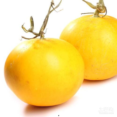 伊丽莎白瓜今日价格表,新鲜上市，品质保证