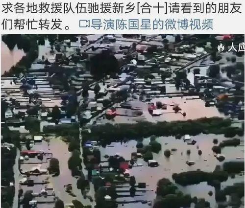 河南抗洪作秀的明星网红,明星网红涉嫌虚假宣传引发舆论风波