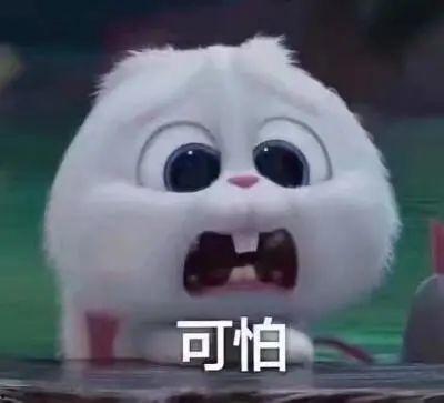 运城今日吃瓜事件真相揭秘,真相大白背后的曲折历程