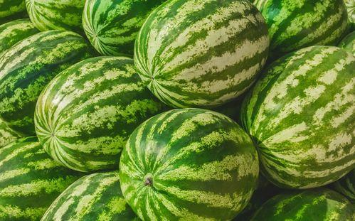 今日大瓜-51吃瓜,揭秘今日娱乐圈大瓜，热点事件一网打尽