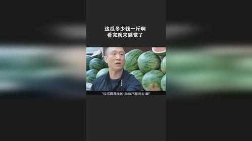 今日蜜瓜多少钱一斤啊,今日蜜瓜价格行情一览