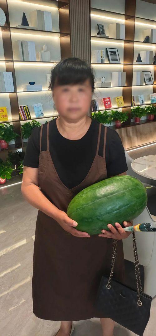 今日大瓜热心的朝阳,揭秘娱乐圈最新热点