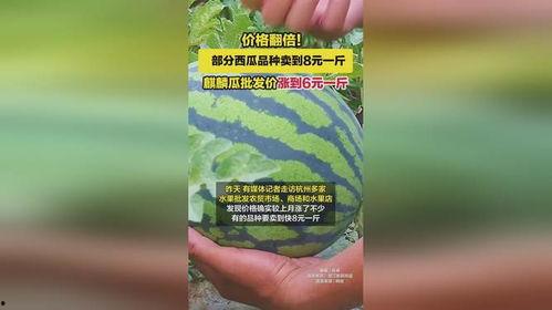 麒麟瓜价格今日价,市场行情一览