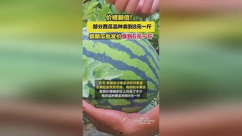 麒麟瓜价格表今日价格,品质之选，价格亲民