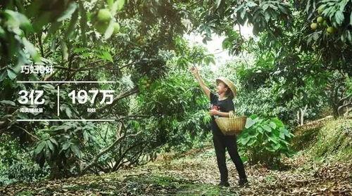 今日摘瓜视频在线播放,在线观看，笑料横生，欢乐无限