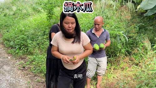 今日摘瓜视频在线播放,在线观看，笑料横生，欢乐无限