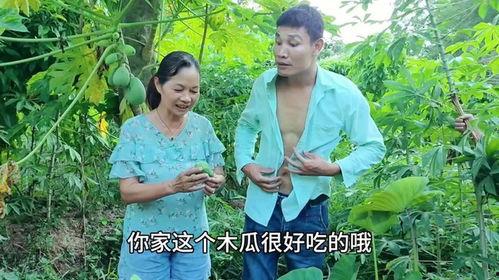 今日摘瓜视频在线播放,在线观看，笑料横生，欢乐无限