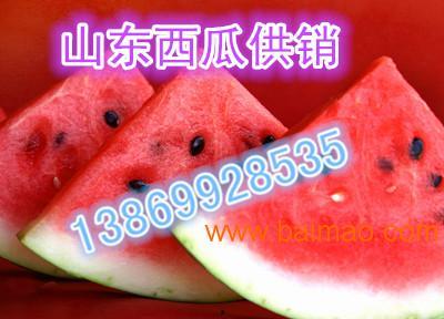 西沙瓜今日行情,今日价格走势解析