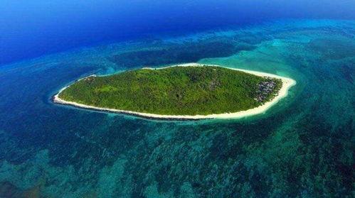 西沙瓜今日行情,今日价格走势解析