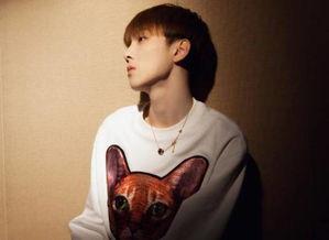 许华升歌手明星网红,跨界明星、歌手、网红的多面人生